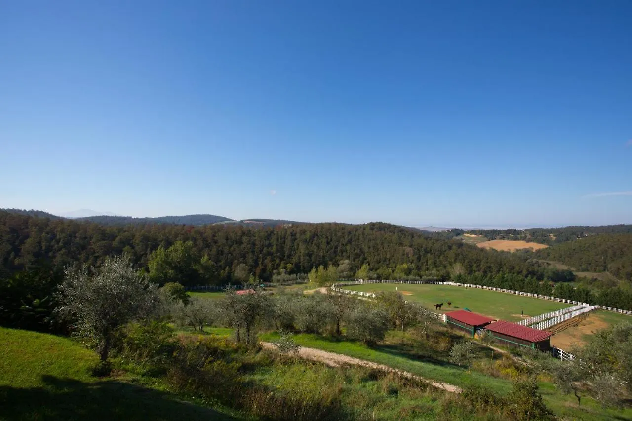 Villa Elisabetta Trequanda 0*,